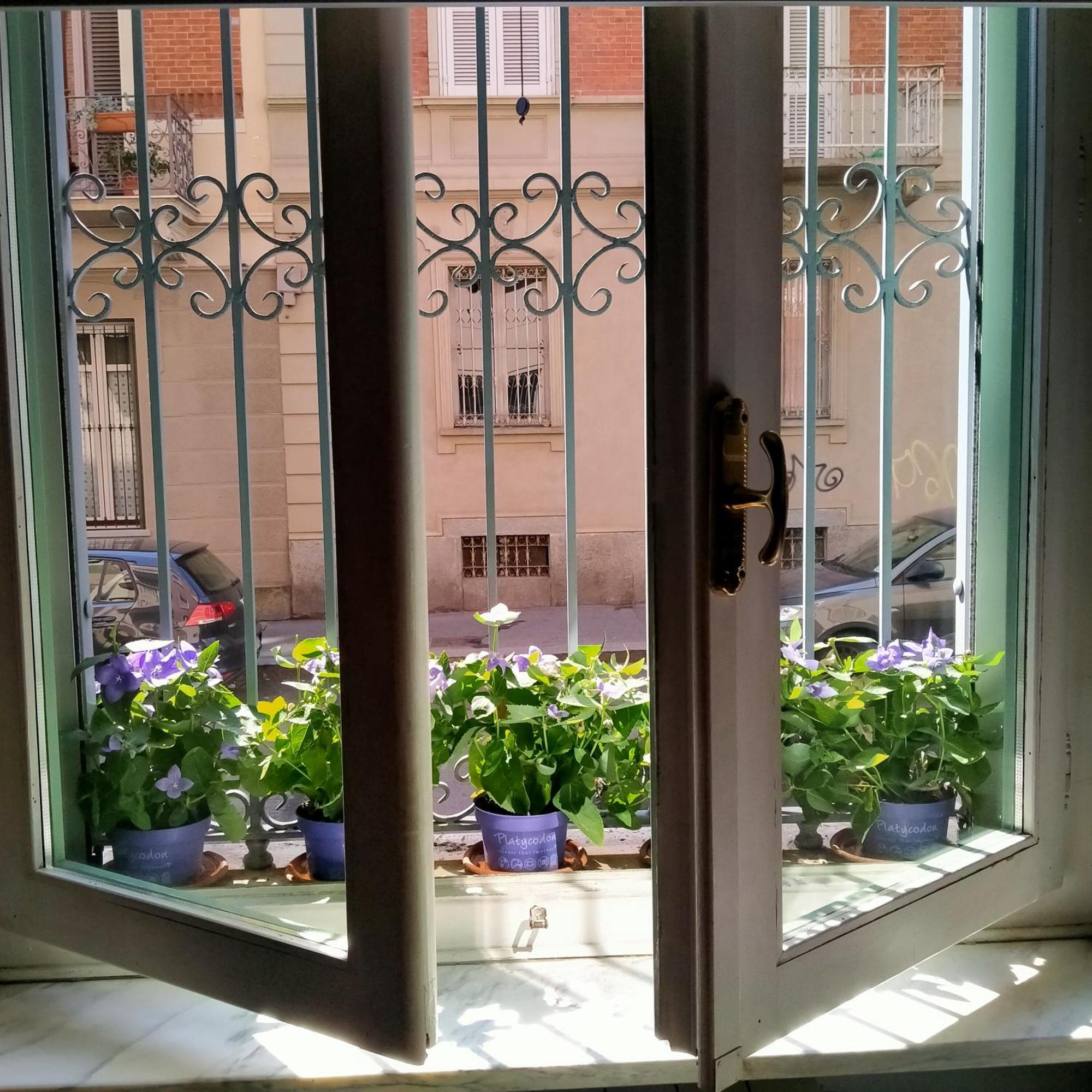 La Graziosa Torino, Porta Susa Turim Exterior foto